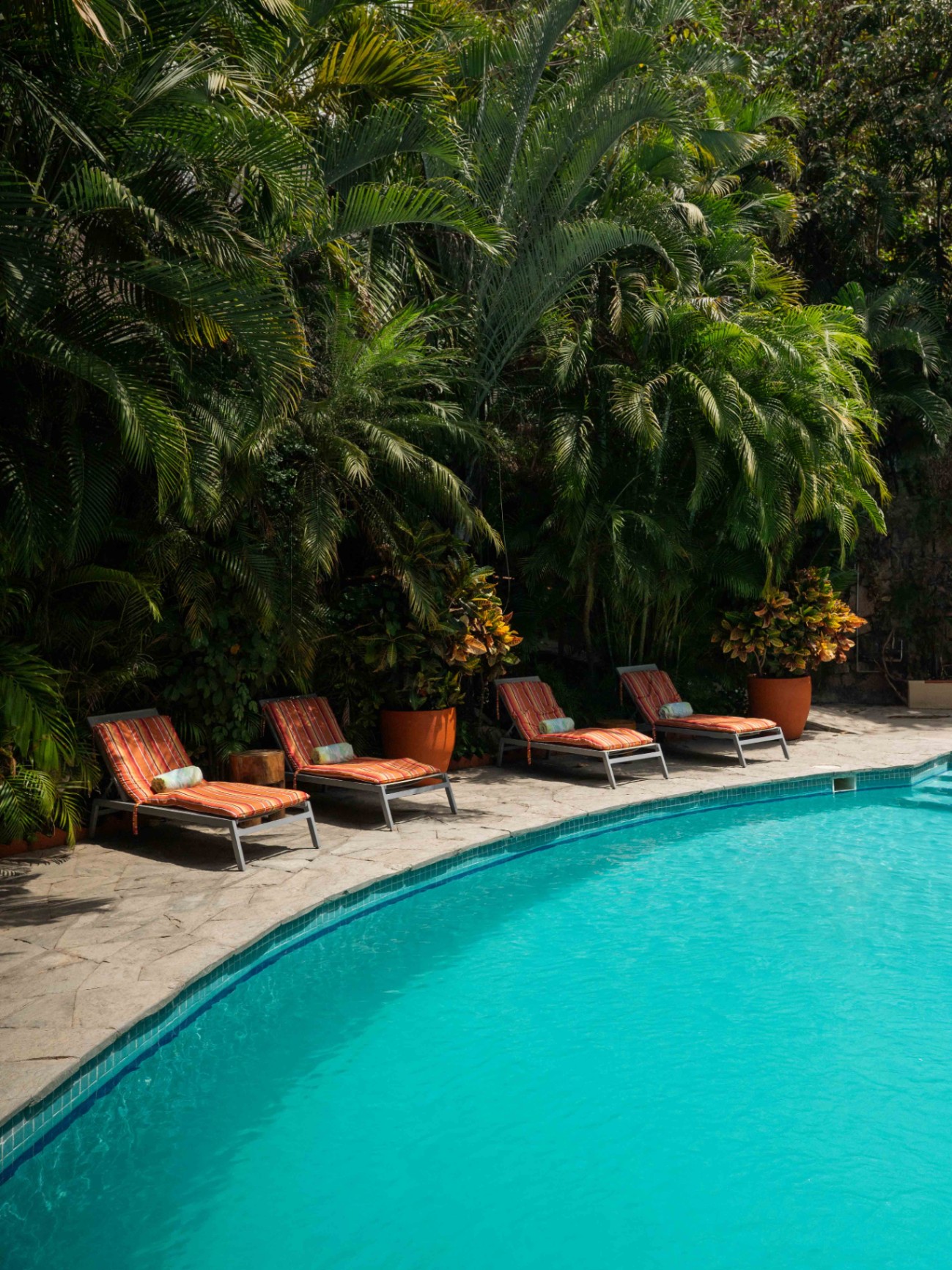 Tropical pool